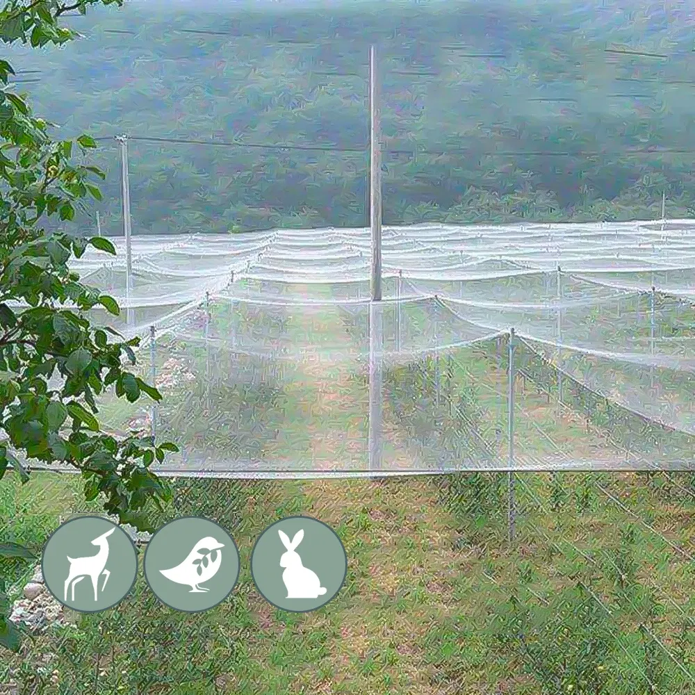 Color: Gold, Size: XXXL - 3x1-20M Anti-bird Netting Garden Outdoor Pest Barrier Knotted Square Mesh Protection Net Extra Strong Poultry Breeding Nylon Net
