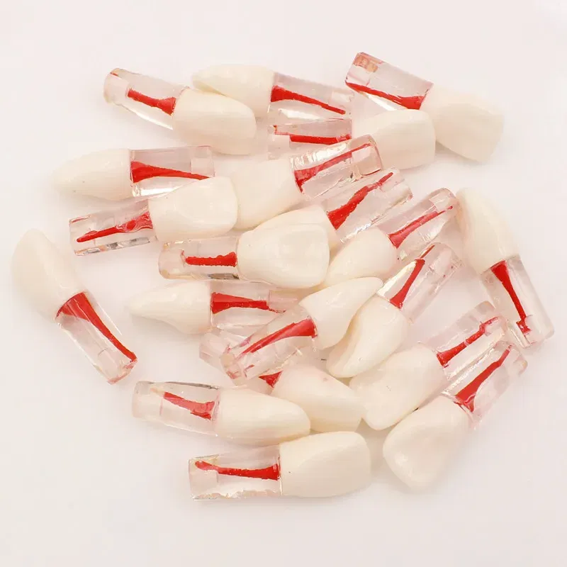 Color: Black - 10Pc Dental Tooth Model Endodontic Root Canal Block RCT Practice Pulp Cavity Dentistry Replace Resin Teeth Endo Training Student