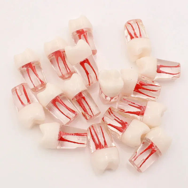 Color: Black - 10Pc Dental Tooth Model Endodontic Root Canal Block RCT Practice Pulp Cavity Dentistry Replace Resin Teeth Endo Training Student