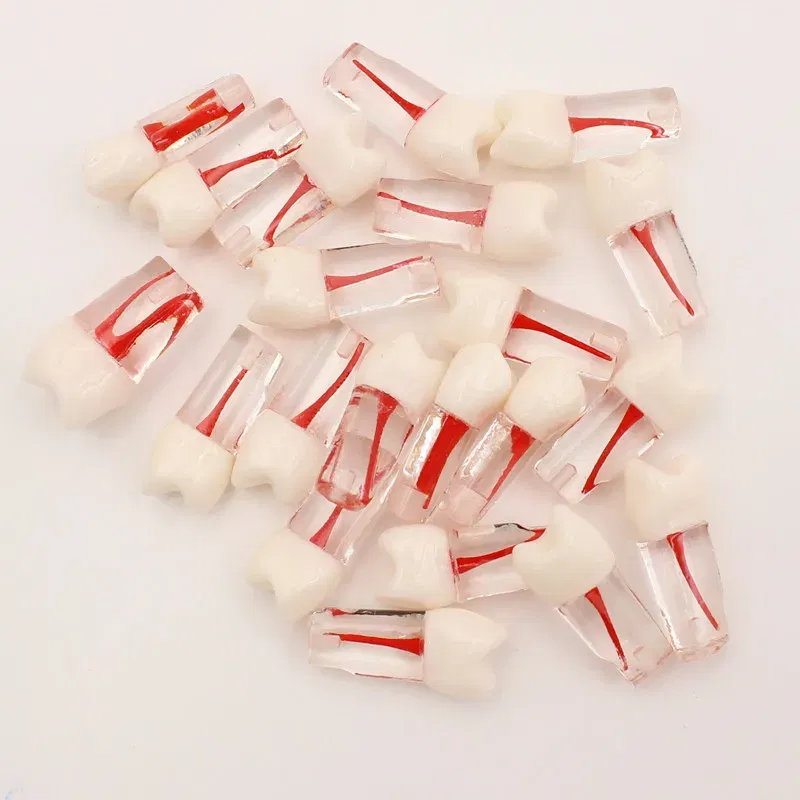 Color: Black - 10Pc Dental Tooth Model Endodontic Root Canal Block RCT Practice Pulp Cavity Dentistry Replace Resin Teeth Endo Training Student