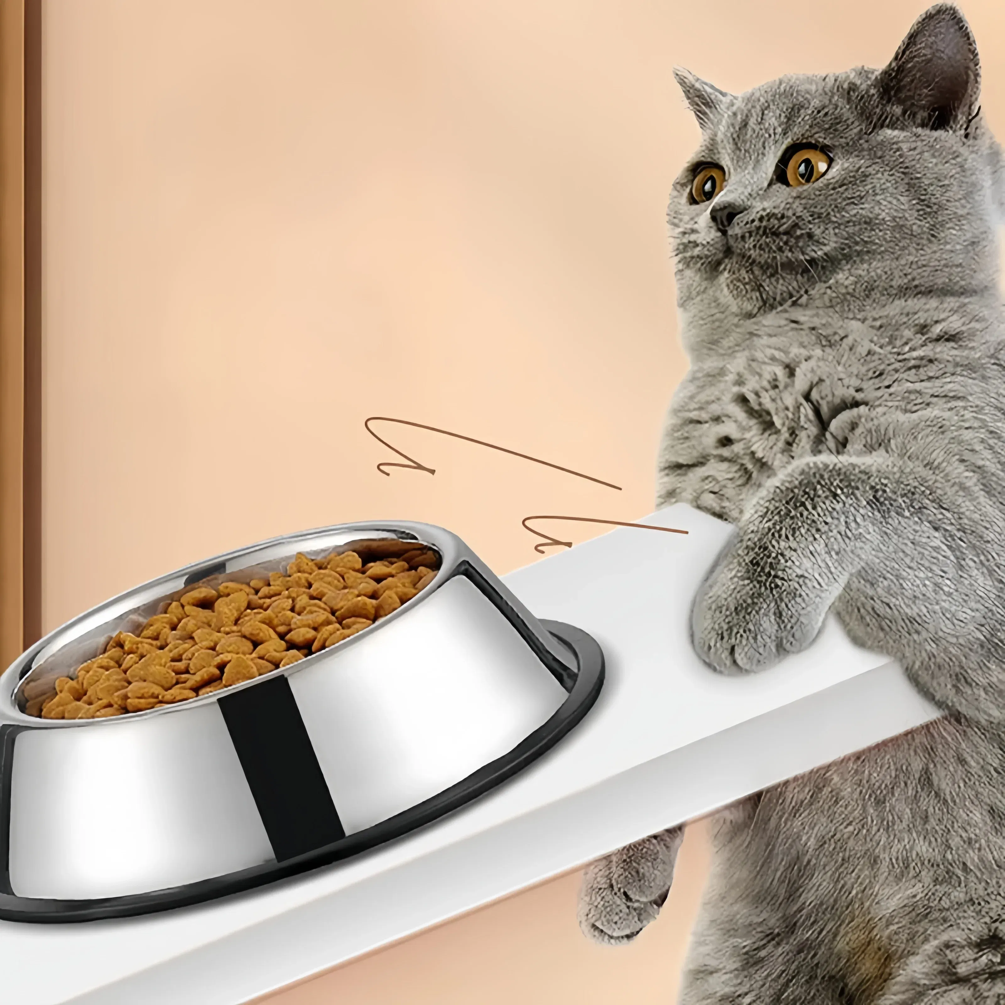 Color: Blue, Size: M - Pet Dog Cat colours Stainless Steel Bowl Pet Feeding Bowl Cat and Dog Drinking Bowl Metal Feeder Bowl Durable Easy To Clean bowl