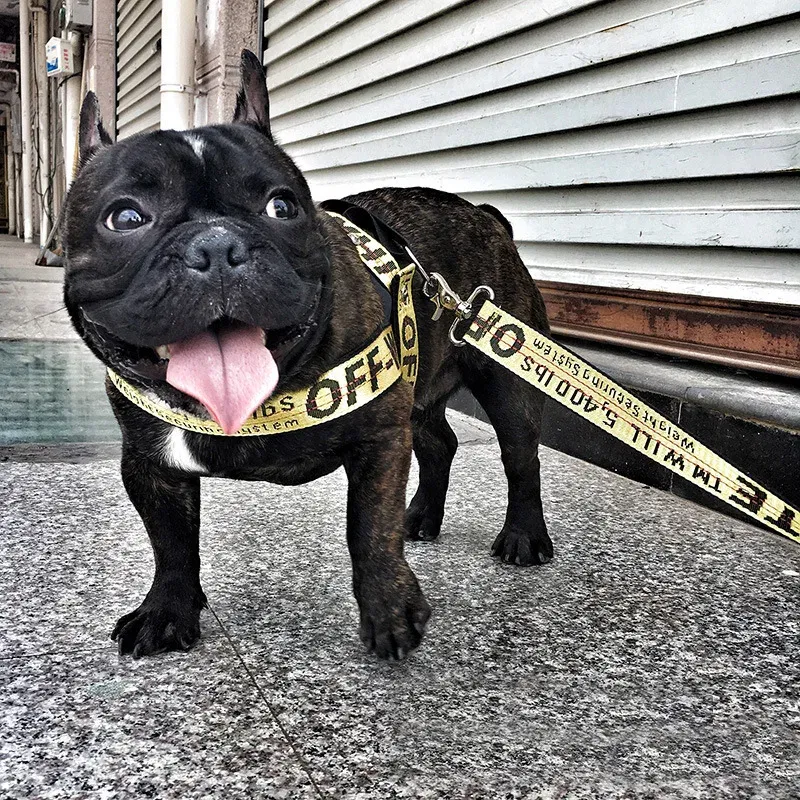 Color: Silver, Size: S - Fashion Dog Collar Leash Set Gold Chain Nylon Pets Dog Collar Leash Long Rope Lettered Collar Perro Collar For Pitbull Puppy Dog