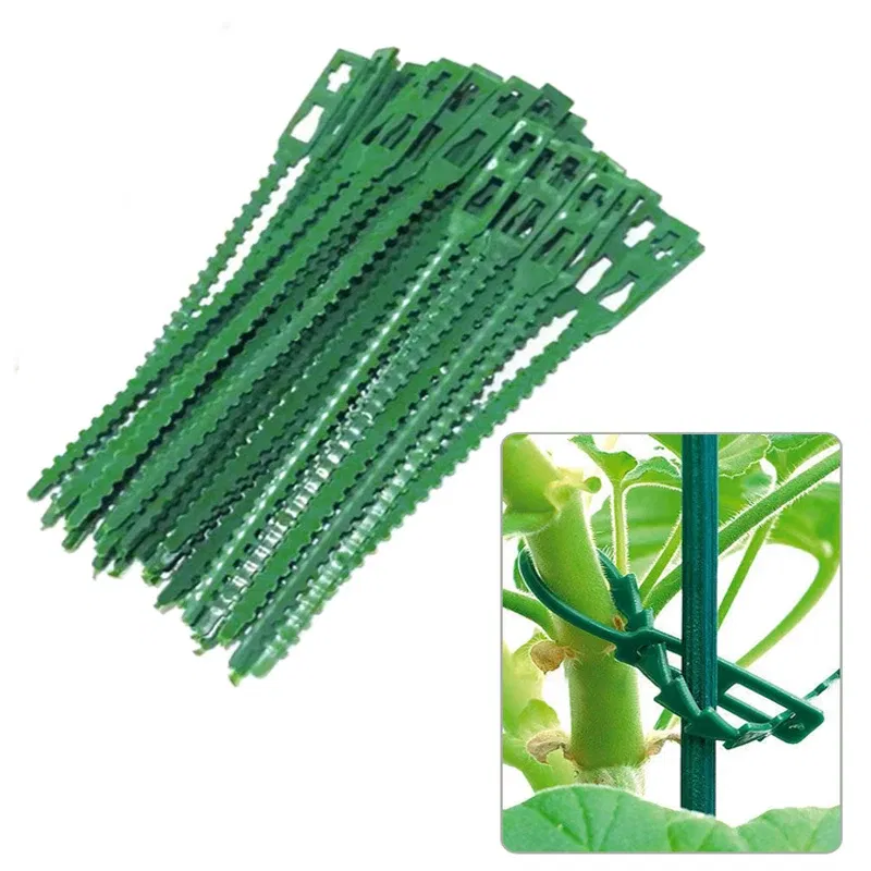 Size: M, Color: Beige - 30/50/100/200Pcs Reusable Garden Cable Ties Plant Support Shrubs Fastener Tree Locking Nylon Adjustable Plastic Cable Ties Tools