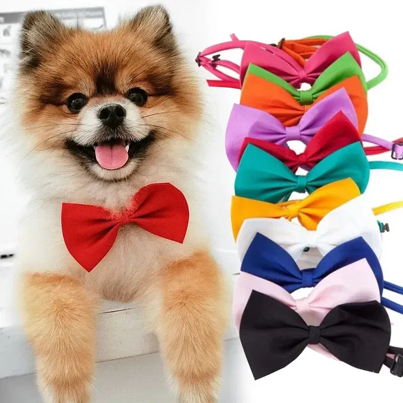 Color: multi - Pet Dog Cat Necklace Adjustable Strap for Cat Collar Dogs Accessories pet dog bow tie puppy bow ties dog Pet supplies