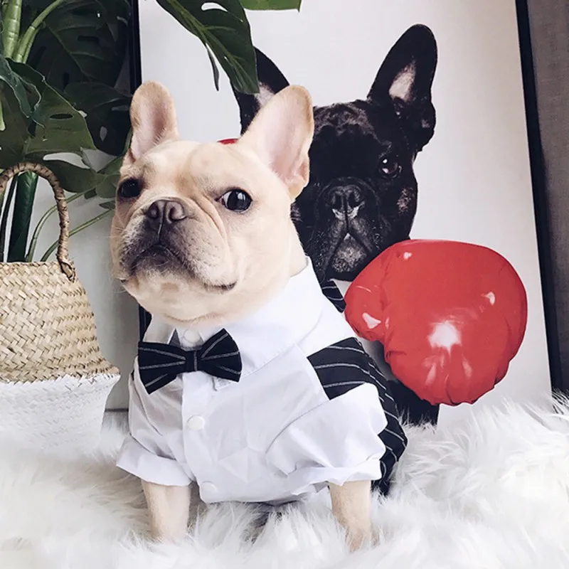 Color: Black, Size: XXXL - Dog Gentleman Wedding Suit Clothes Dog Suit Bow Tie Clothes Halloween Christmas Costume For Small Dogs Teddy Bulldog