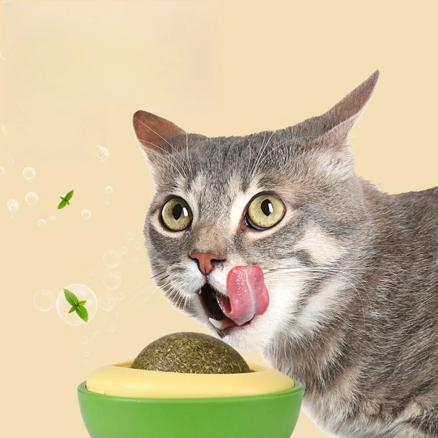 Color: BLUE MIST - Pet Toy Can Be Rotated Fun Self-hey Catnip Cat Toy Avocado Shape Catnip Cat Toys