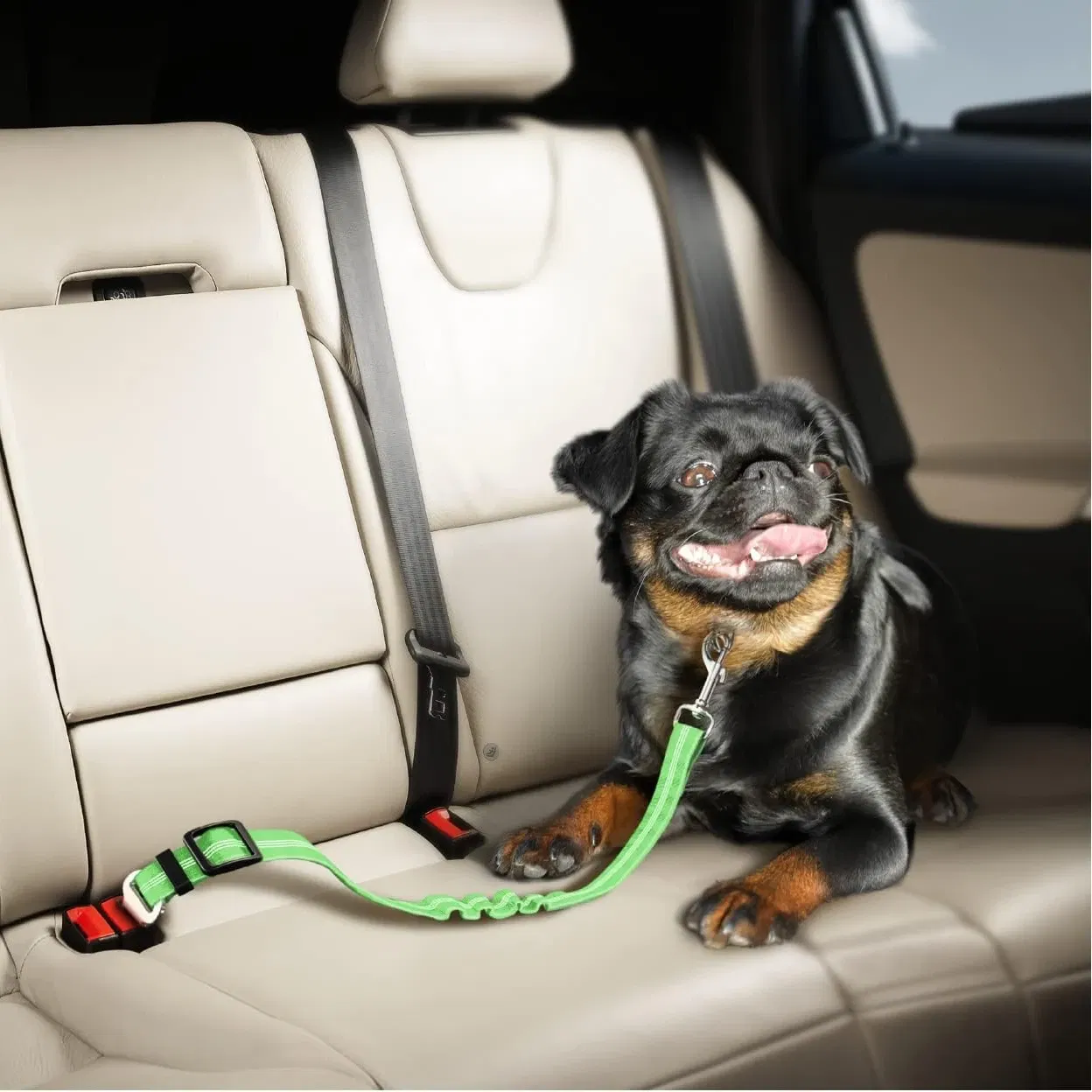 Color: Chocolate - Universal Adjustable Cat Dog Seat-Belt Elastic & Reflective Vehicle Nylon Seat Belt for Small Medium Large Dog,Pet Accessoires