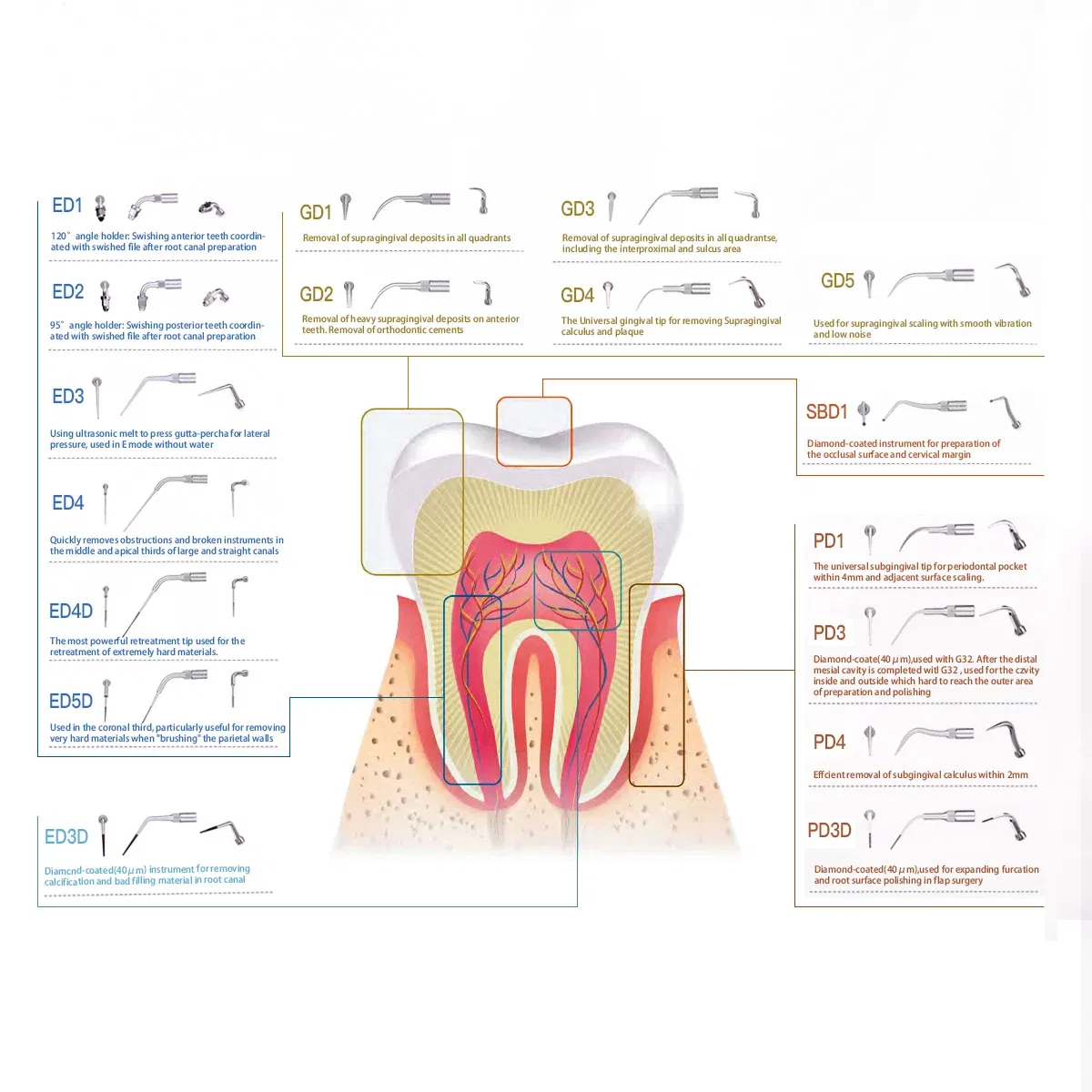 Color: GRAY, Ships From: CHINA - AZDENT 1pc Dental Ultrasonic Scaler Tip Scaling Periodontics Endodontics GD PD ED Tip Fit for SATELEC DTE NSK Ultrasonic Scaler