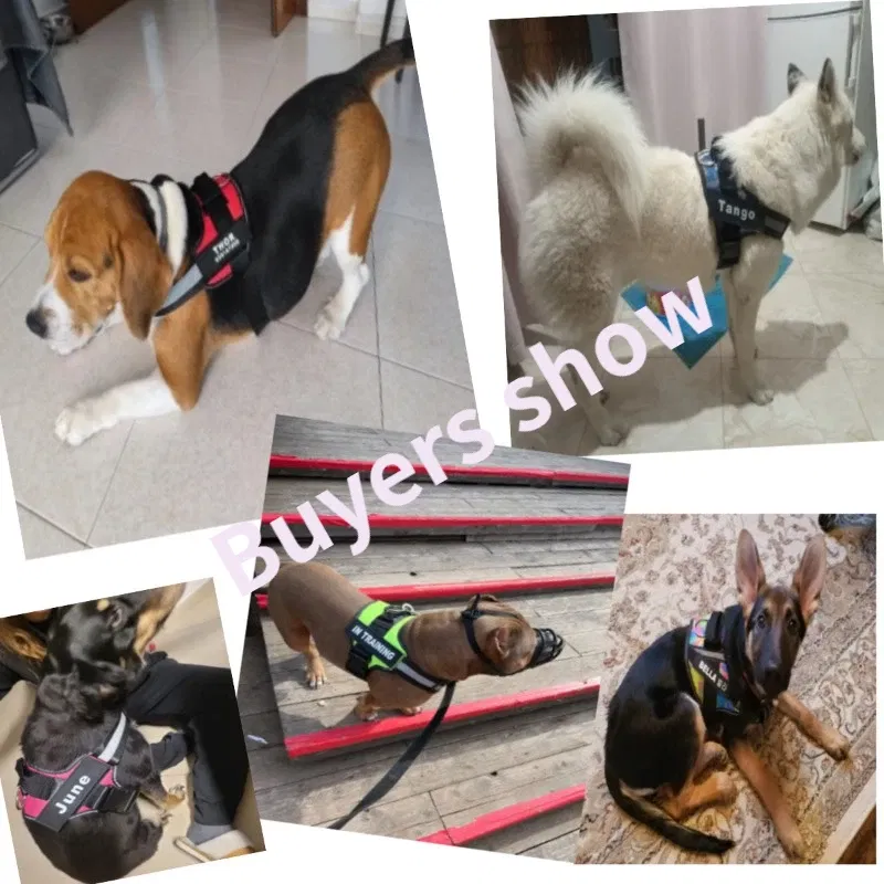 Color: Black, Size: XS - Custom Dog Harness Reflective and Breathable Adjustable Tank Top Free Personalized  Name Label Pet leash Set