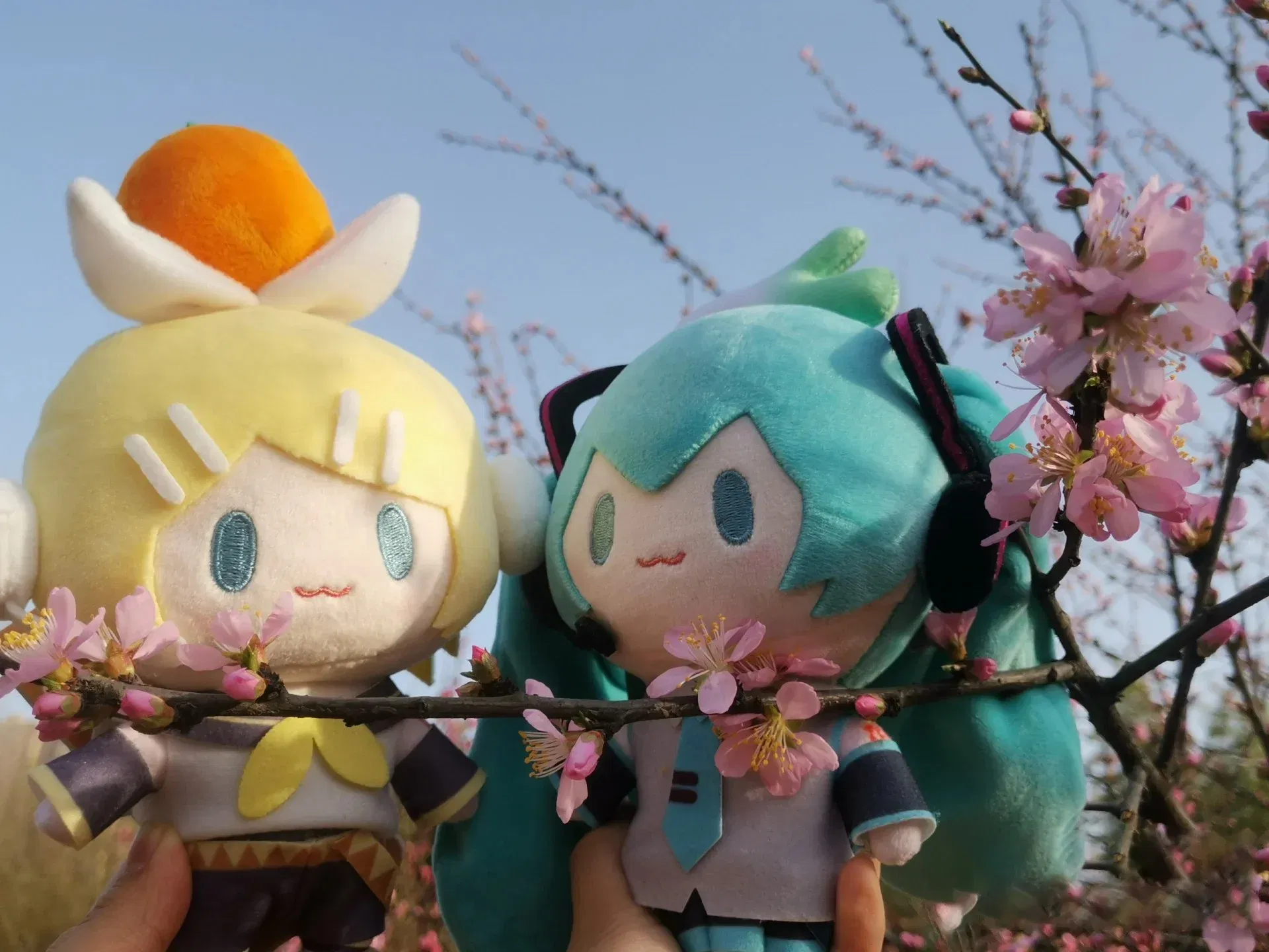 Color: WHITE - 15cm Hatsune Miku Kawaii Q Version Figure Plush Doll Anime Peripheral Plush Stuffed Toy Collection Model Ornament Toys Gifts