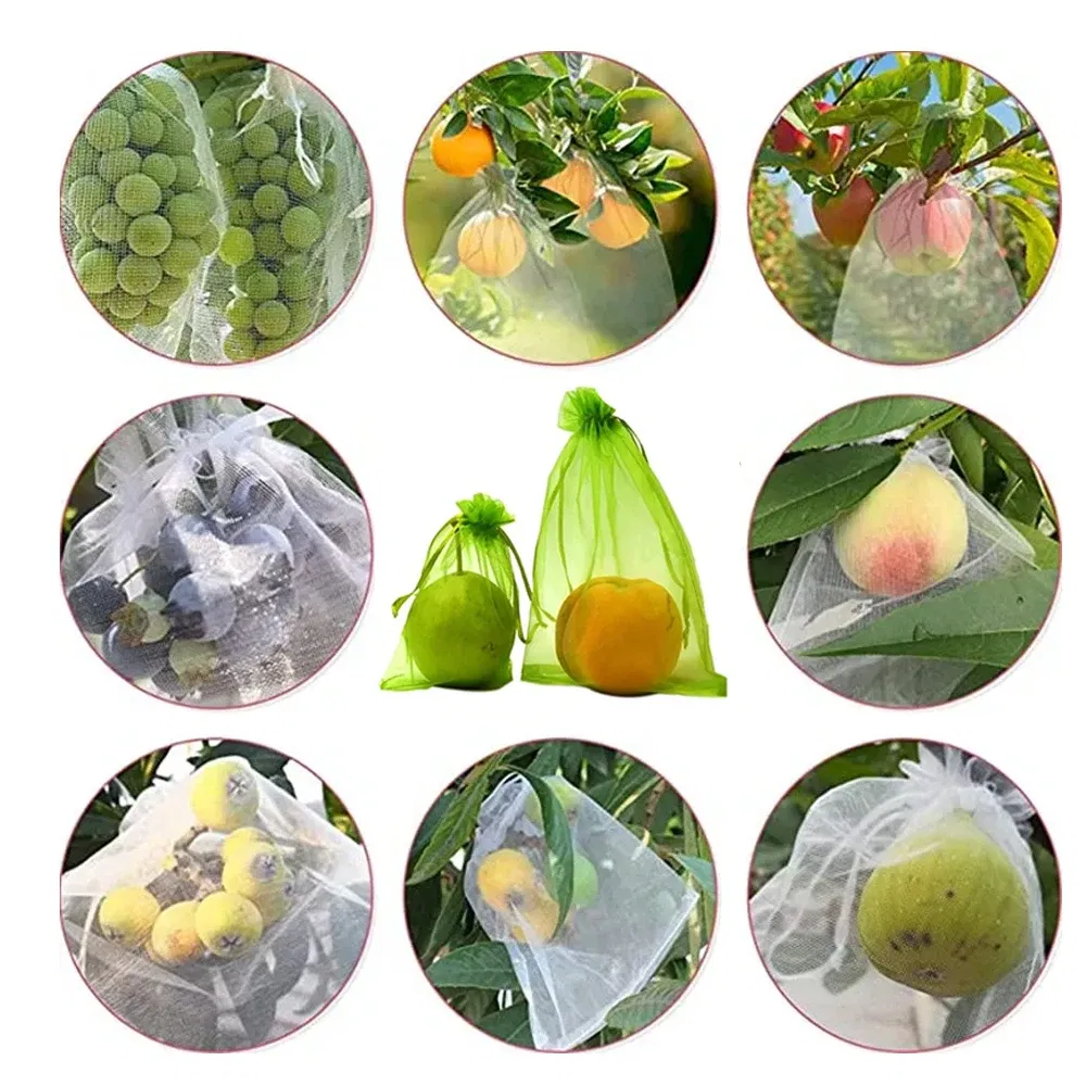 Color: light green, Size: 3XL - 20-200PCS Vegetable Grapes Fruit Grow Bags Fruit Protection Bags Garden Anti-Bird Netting Mesh Bag Strawberry Bags Garden Tools