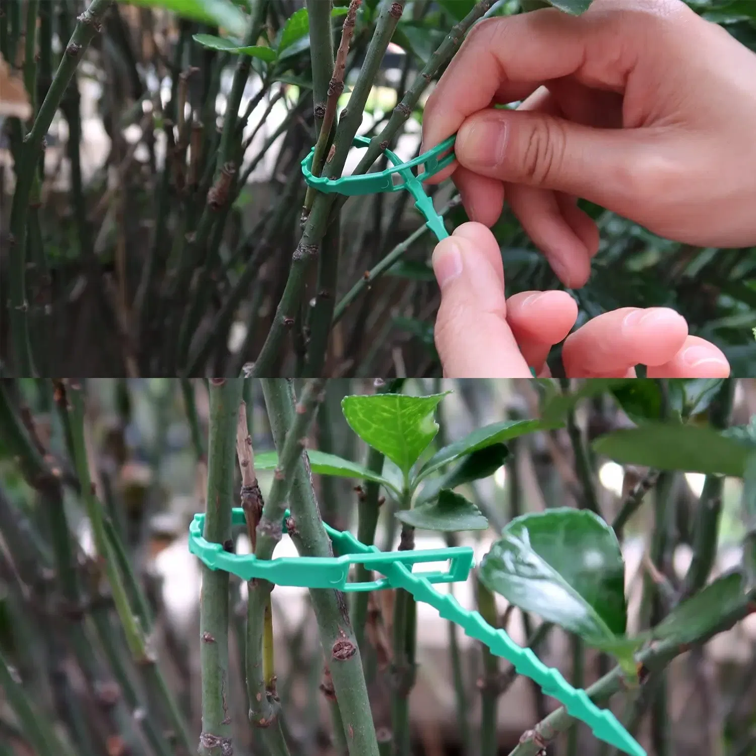 Size: M, Color: Silver - 30/50/100/200Pcs Reusable Garden Cable Ties Plant Support Shrubs Fastener Tree Locking Nylon Adjustable Plastic Cable Ties Tools