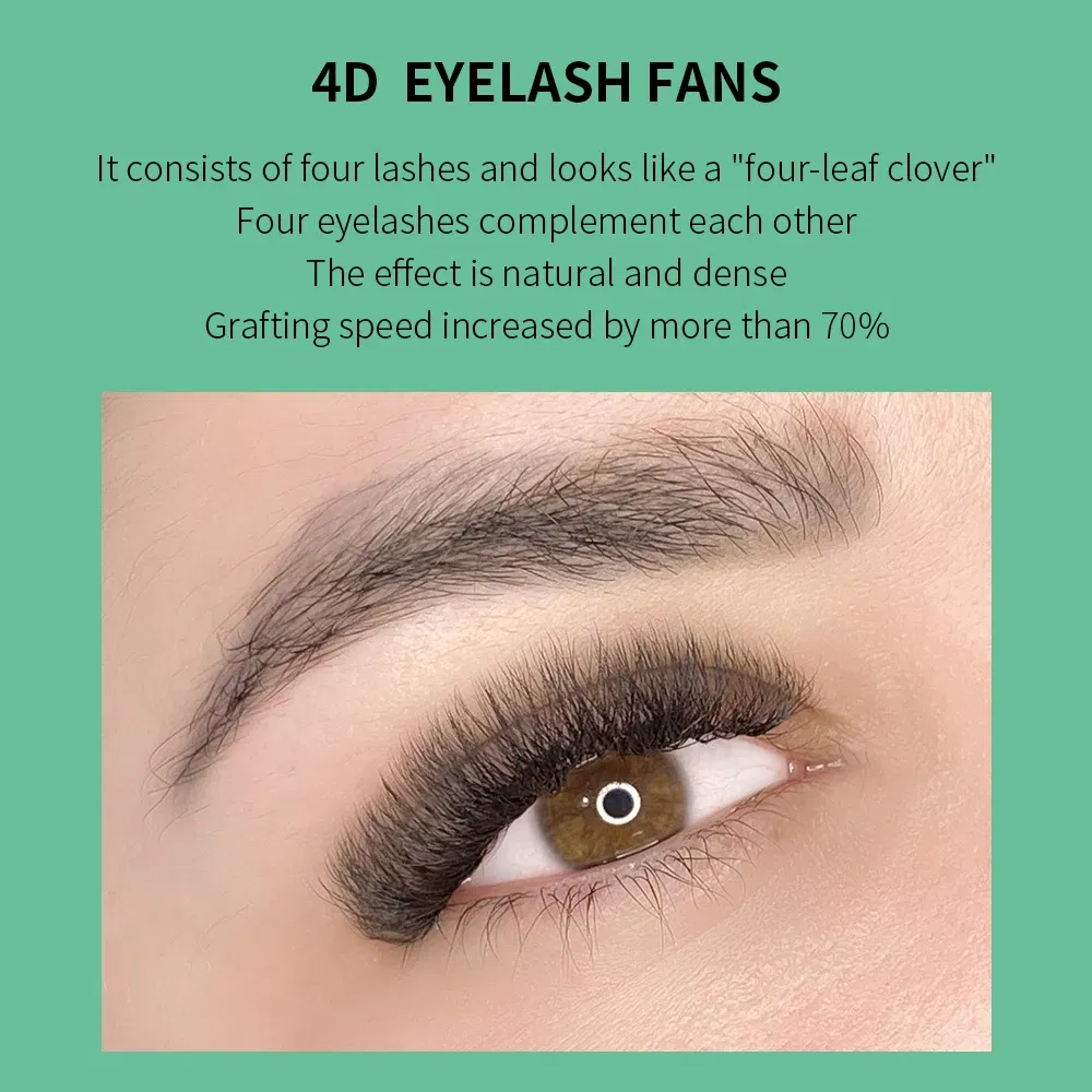 Color: Brushed Chrome, Curl: D, Thickness: 0.07mm, Length: 17mm - GLAMLASH 4D - W Shaped Eyelash Extension Automatic Flowering W Fake Lashes 0.07mm C/D/L/LU Curl Individual