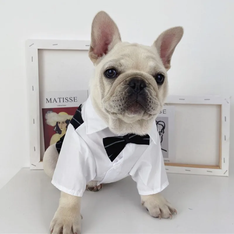 Color: Red, Size: 5XL - Dog Gentleman Wedding Suit Clothes Dog Suit Bow Tie Clothes Halloween Christmas Costume For Small Dogs Teddy Bulldog