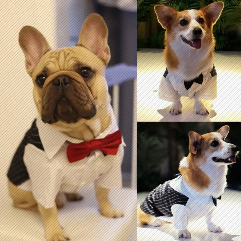 Color: Red, Size: 5XL - Dog Gentleman Wedding Suit Clothes Dog Suit Bow Tie Clothes Halloween Christmas Costume For Small Dogs Teddy Bulldog