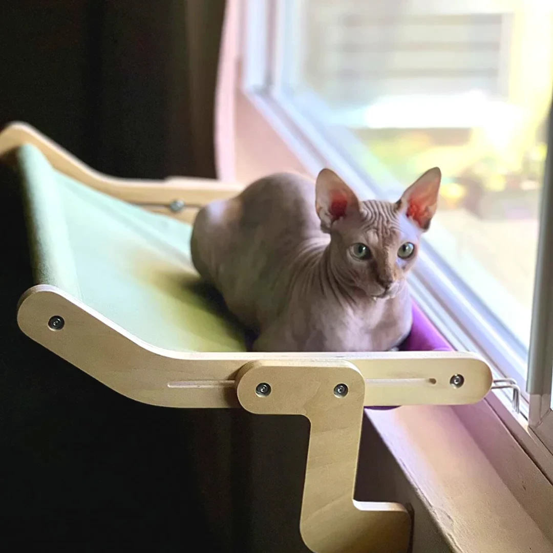 Peachhomesss Cat's Sky Lounge