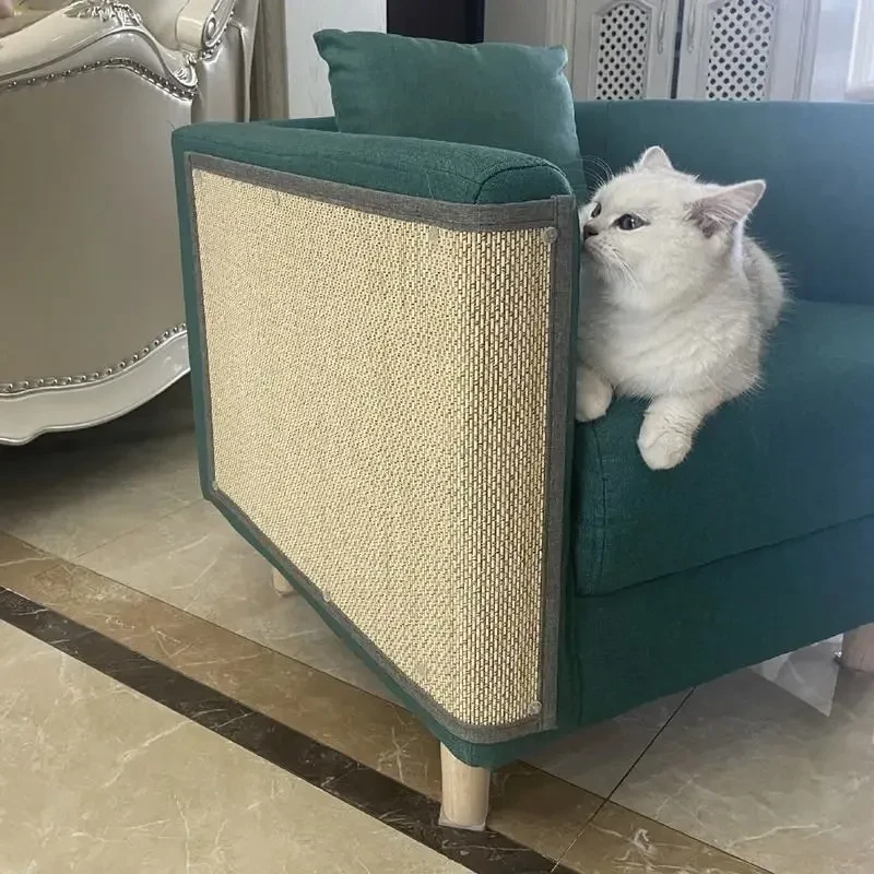 Asisumption -Cat Scratching