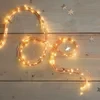 Firefly Bunch Lights(3M/120 INCHES)