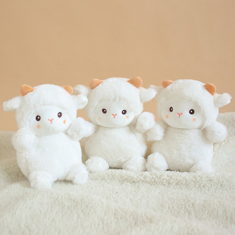 23