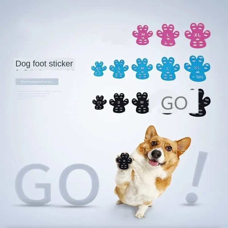 Dog Paw Protection