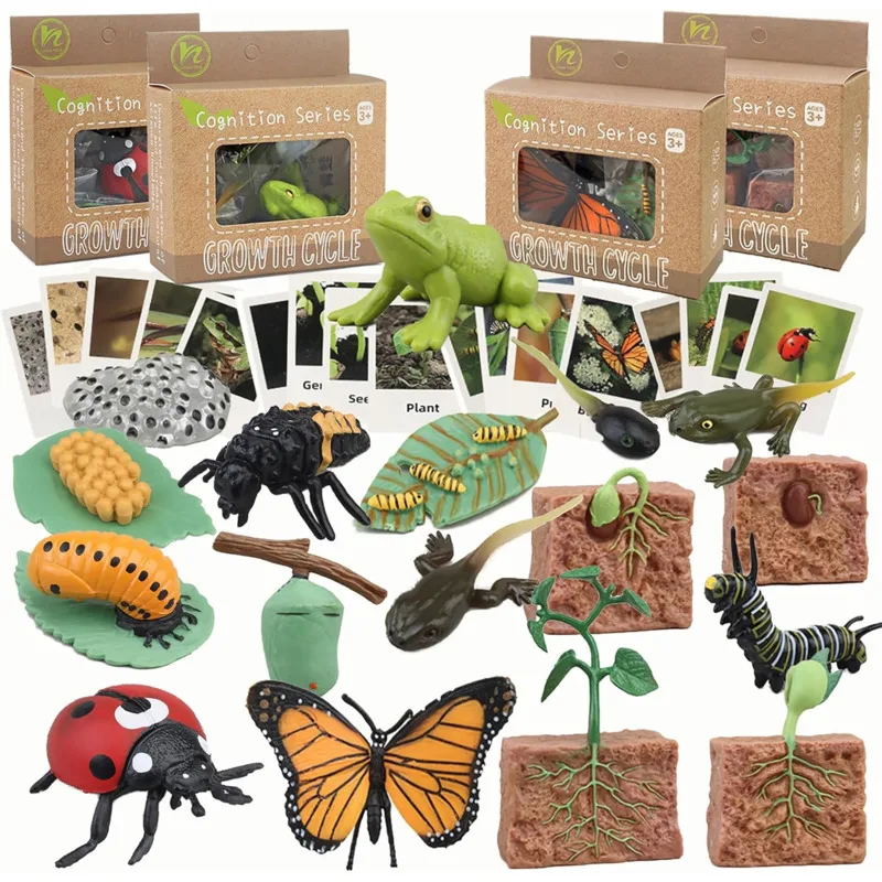 Color: Khaki - Montessori Life Cycle Animal Figures With Flash Cards Educational Matching Game Creative Biology Model Learning Teaching Aids