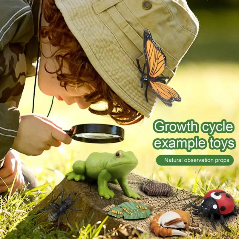 Color: Khaki - Montessori Life Cycle Animal Figures With Flash Cards Educational Matching Game Creative Biology Model Learning Teaching Aids