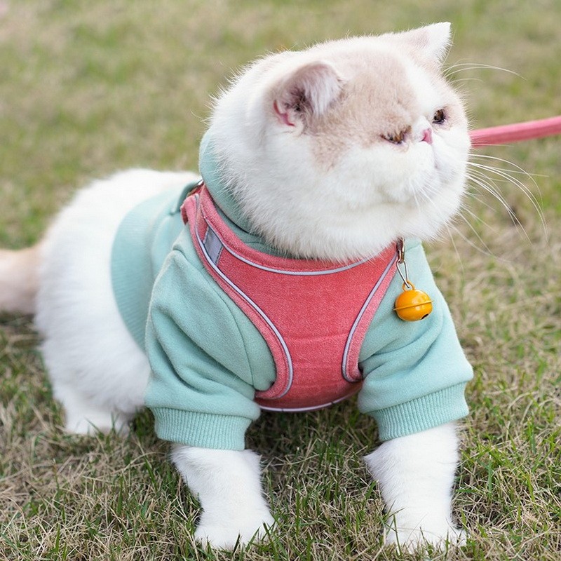 Reflective Pet Safety Harness & Leash Set