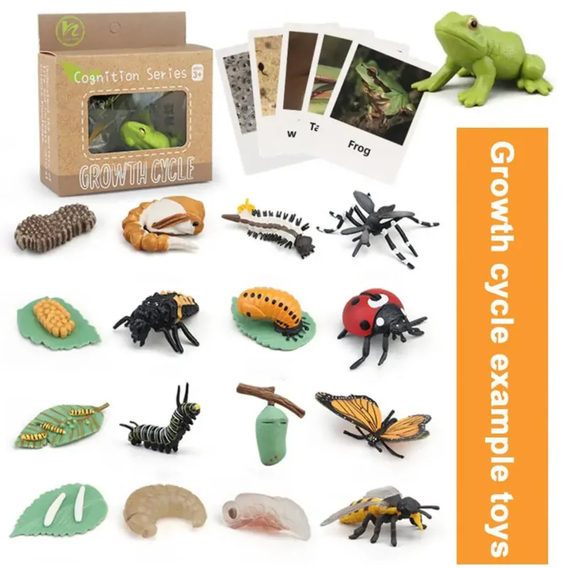 Color: plum - Montessori Life Cycle Animal Figures With Flash Cards Educational Matching Game Creative Biology Model Learning Teaching Aids