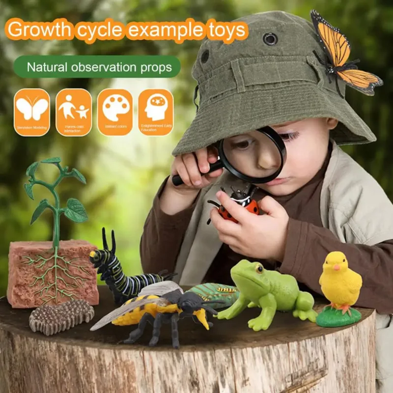 Color: plum - Montessori Life Cycle Animal Figures With Flash Cards Educational Matching Game Creative Biology Model Learning Teaching Aids