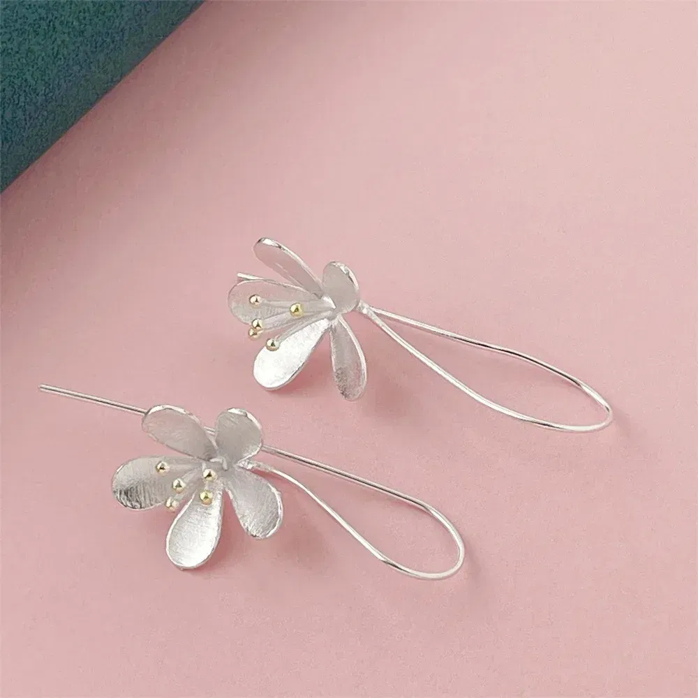 Gem Color: Deep Red - 925 Silver Heart Shape Earrings Women Exquisite Student Jewelry Accessories
