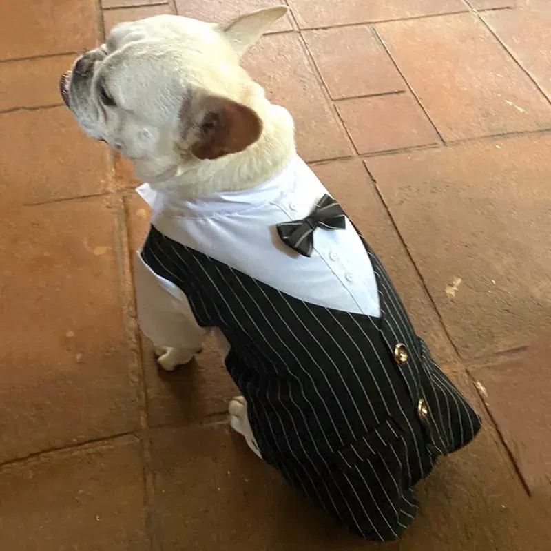 Color: Black, Size: 5XL - Dog Gentleman Wedding Suit Clothes Dog Suit Bow Tie Clothes Halloween Christmas Costume For Small Dogs Teddy Bulldog