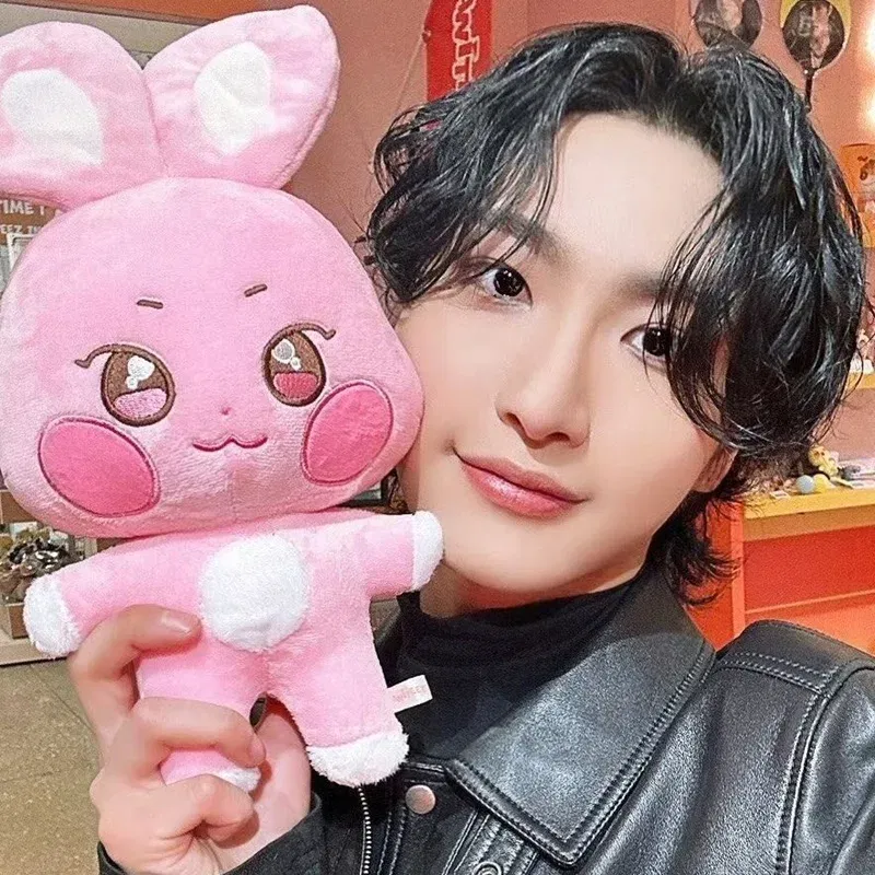 Color: MistyRose, Height: 0-10cm - Kpop Aniteez Kawaii Stuffed Animals Plushies Toy Room Decor Hongjoong Seonghwa Yunho Yeosang San Ming Wooyoung Jongho Plu