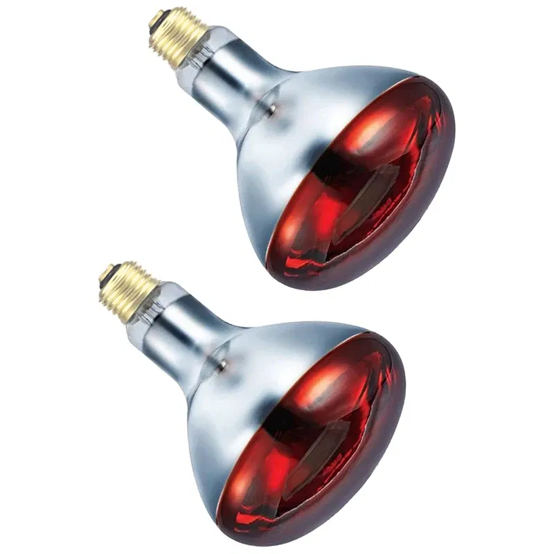 Color: Orange, Ships From: United States - BONGBADA Quartz glass waterproof and explosion-proof E26 E27 Red R40 Infrared Heat Lamp Farm lamp 100W 150W 200W 250W 275W