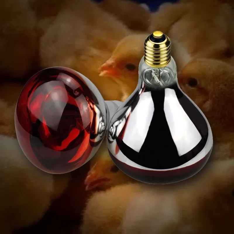 Color: Orange, Ships From: United States - BONGBADA Quartz glass waterproof and explosion-proof E26 E27 Red R40 Infrared Heat Lamp Farm lamp 100W 150W 200W 250W 275W