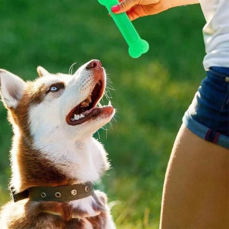 Color: WHITE, Ships From: CHINA - Hot Sale Pet Dog Chew Toys Rubber Bone Toy Aggressive Chewers Dog Toothbrush Doggy Puppy Dental Care For Dog Pet Accessories