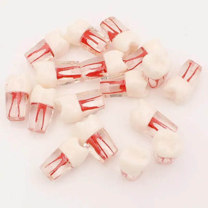 Color: Red - 10Pc Dental Tooth Model Endodontic Root Canal Block RCT Practice Pulp Cavity Dentistry Replace Resin Teeth Endo Training Student