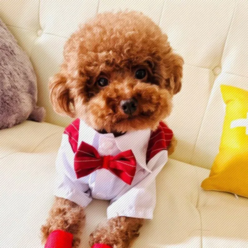 Color: Dark Brown, Size: S - Dog Gentleman Wedding Suit Clothes Dog Suit Bow Tie Clothes Halloween Christmas Costume For Small Dogs Teddy Bulldog