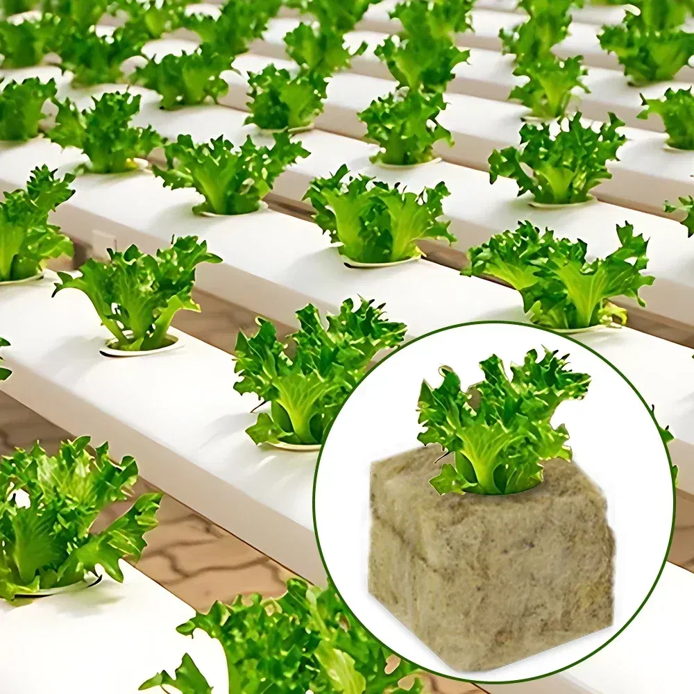 Color: Red - Stonewool Hydroponic Grow Media Cubes Plant Cube Soilless Substrate Seeded Planting Spong Plug Seedling Block Garden Tools