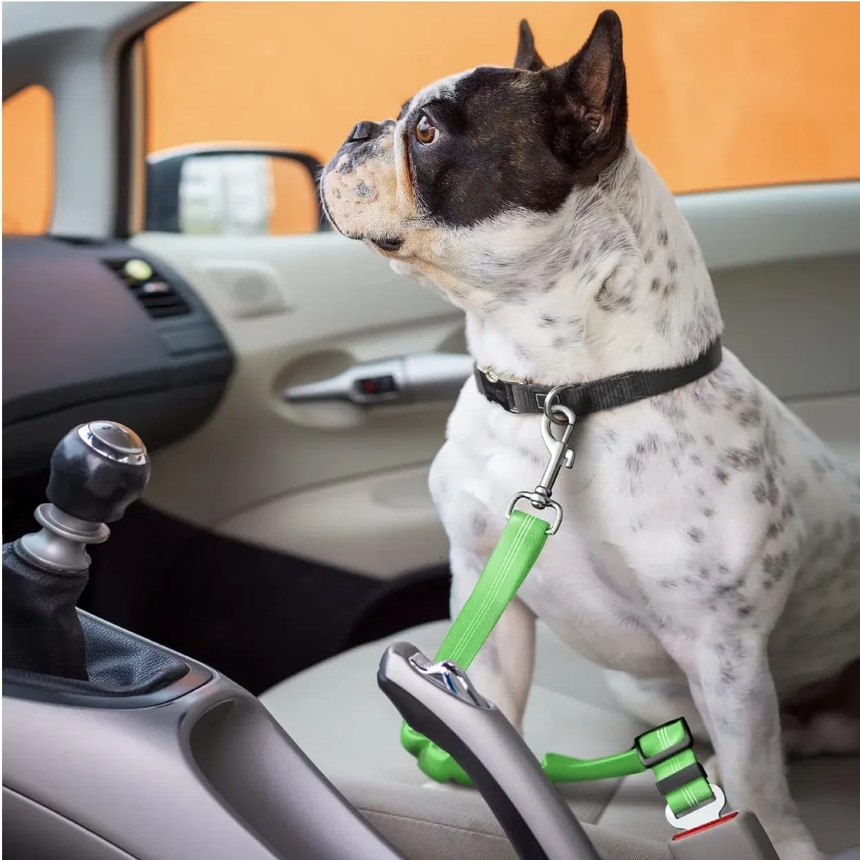 Color: black - Universal Adjustable Cat Dog Seat-Belt Elastic & Reflective Vehicle Nylon Seat Belt for Small Medium Large Dog,Pet Accessoires