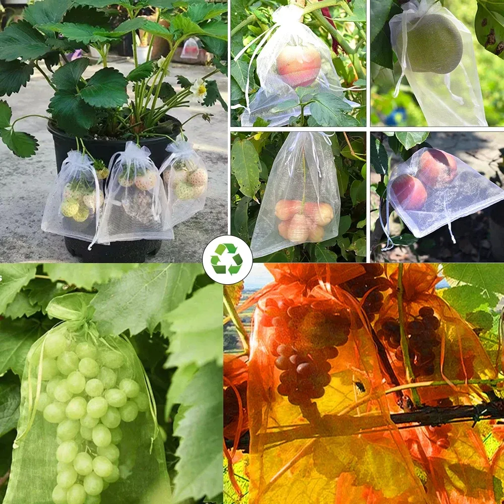 Color: light green, Size: 8XL - 20-200PCS Vegetable Grapes Fruit Grow Bags Fruit Protection Bags Garden Anti-Bird Netting Mesh Bag Strawberry Bags Garden Tools